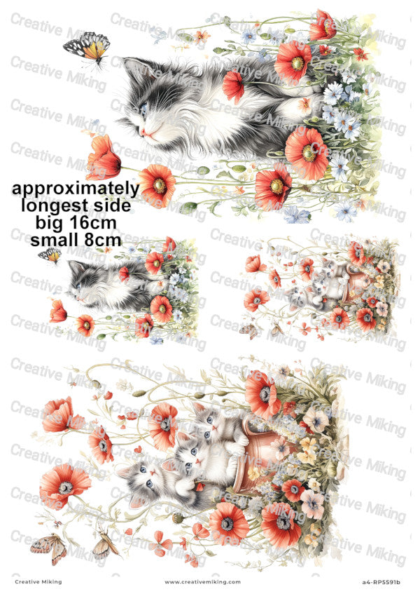 Cats In Poppy Flowers Decoupage Rice Paper | RP5591b