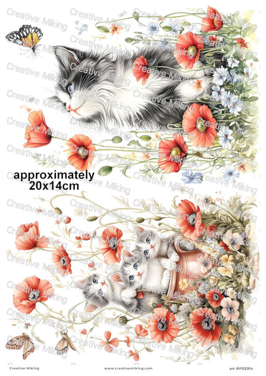 Cats In Poppy Flowers Decoupage Paper | RP5591c