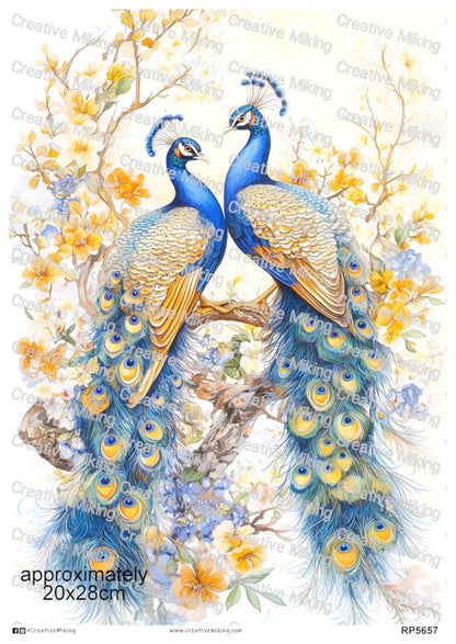Peacocks Among Blossoms Decoupage Rice Paper | RP5657