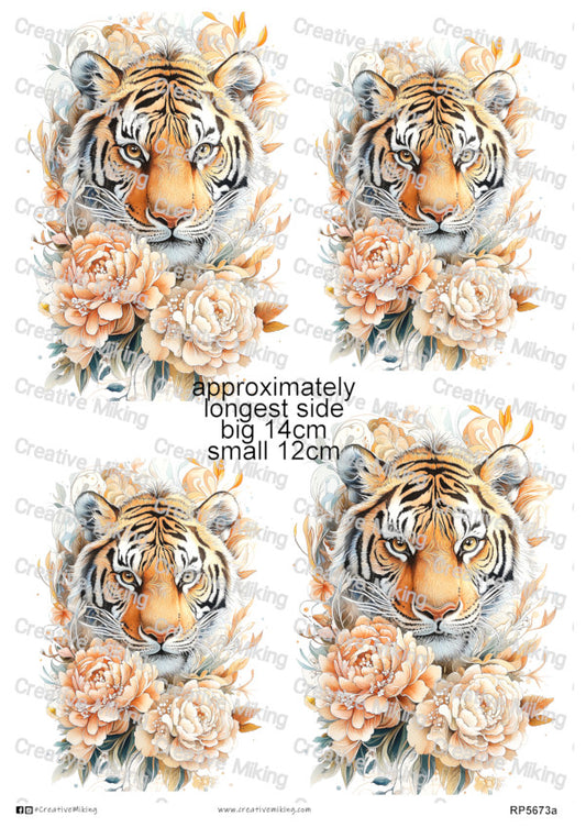 RP5673a