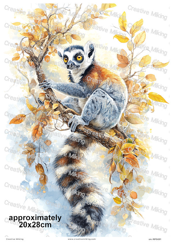 Lemur Decoupage Rice Paper | RP5691