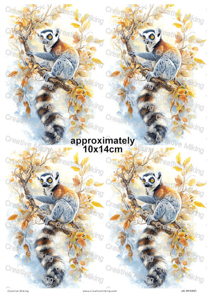 Lemur Decoupage Rice Paper | RP5691