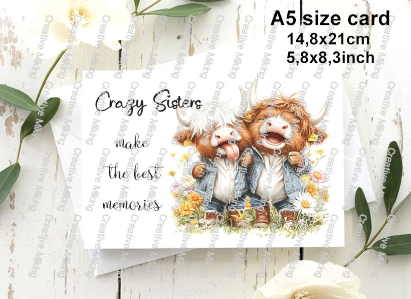 RP5833g - Highland Cows - "Crazy Sisters..."