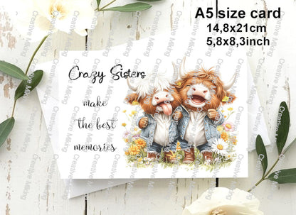 RP5833g - Highland Cows - "Crazy Sisters..."