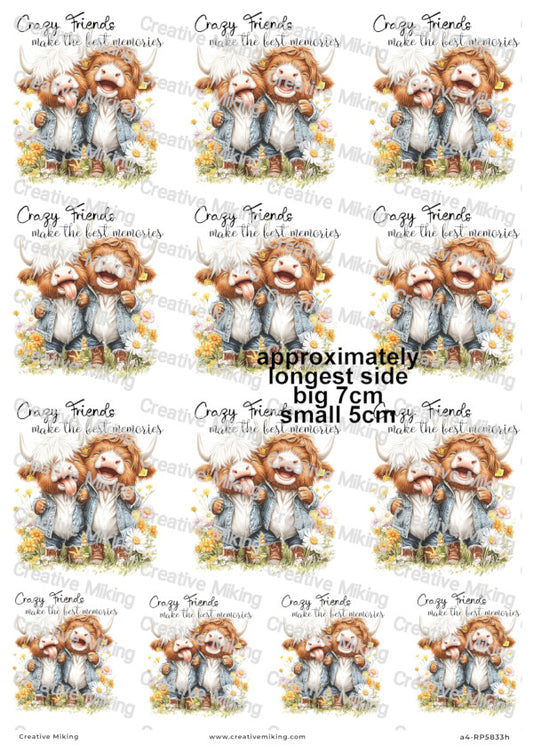 Highland Cows Funny Decoupage Paper | RP5833h