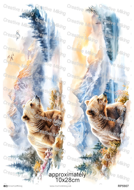 RP5907