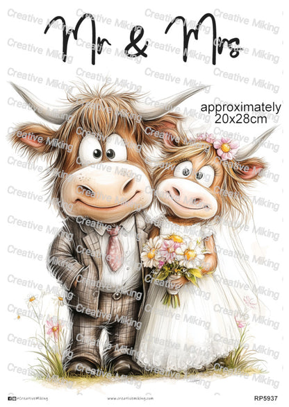 RP5937 - Highland Cows - "Mr & Mrs"