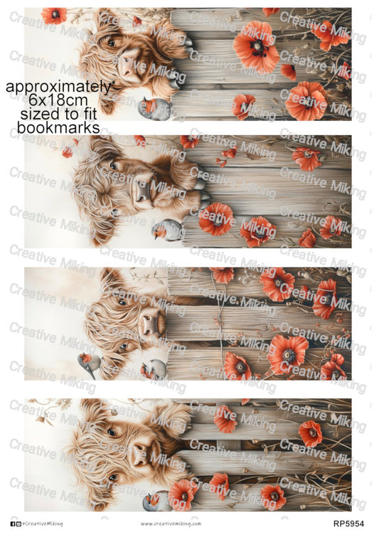 RP5954