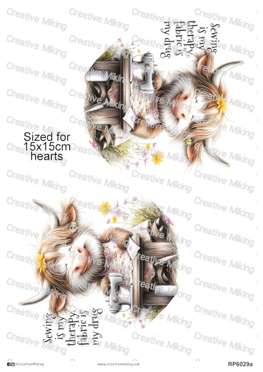 RP6029a