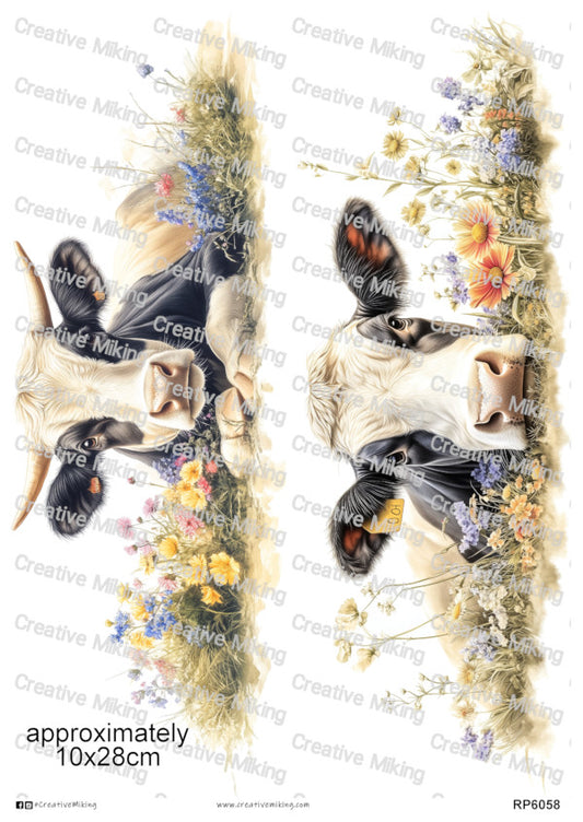 RP6058