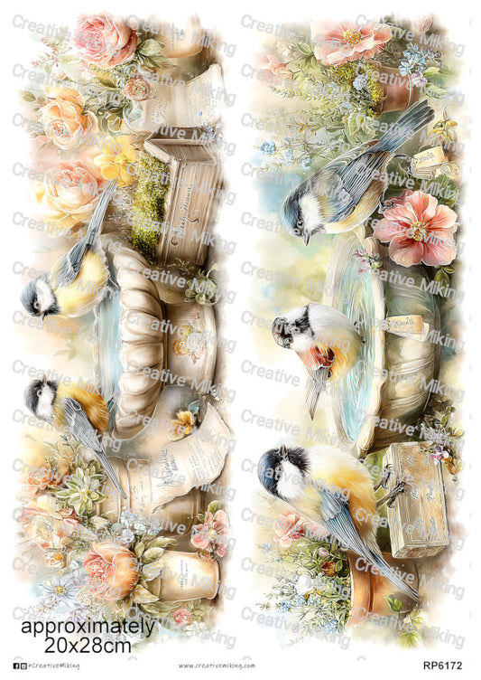 RP6172
