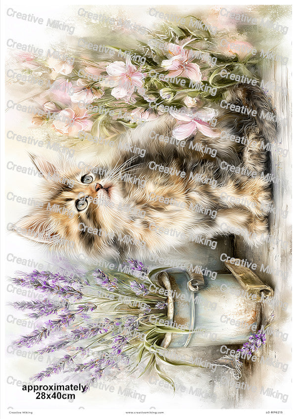 Fluffy Cat With Flowers And Lavender Decoupage Rice Paper | RP6215