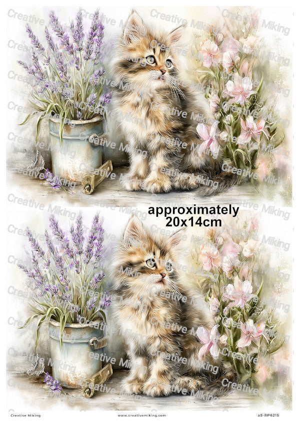 Fluffy Cat With Flowers And Lavender Decoupage Rice Paper | RP6215