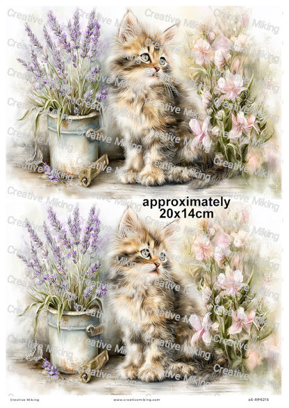 Fluffy Cat With Flowers And Lavender Decoupage Rice Paper | RP6215