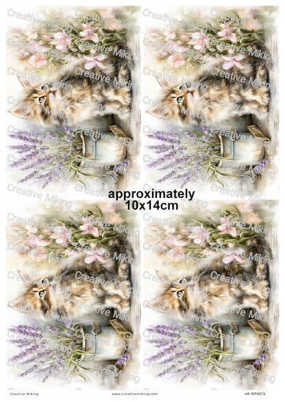 Fluffy Cat With Flowers And Lavender Decoupage Rice Paper | RP6215