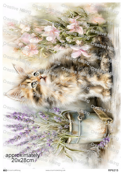 Fluffy Cat With Flowers And Lavender Decoupage Rice Paper | RP6215