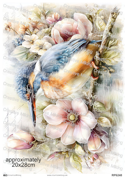 RP6248 - Kingfisher