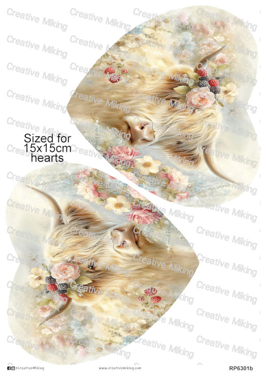 RP6301b