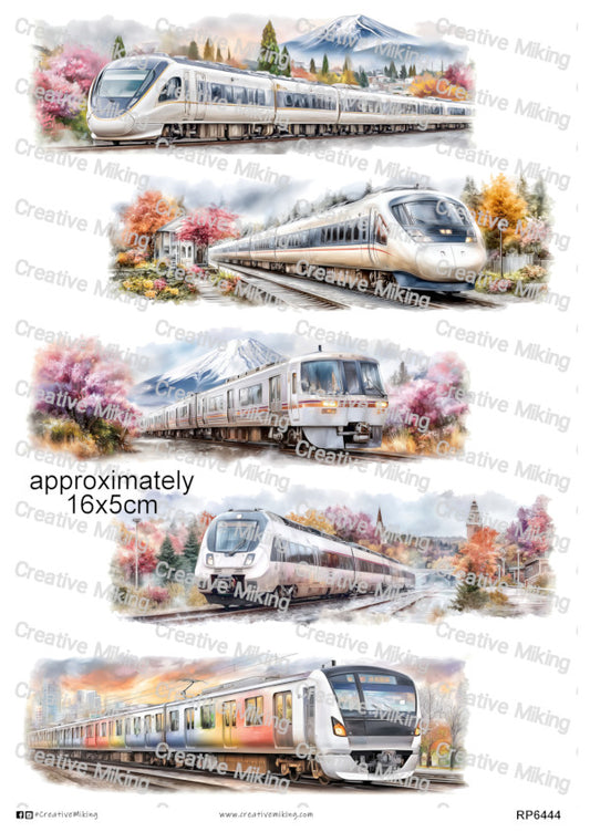 RP6444