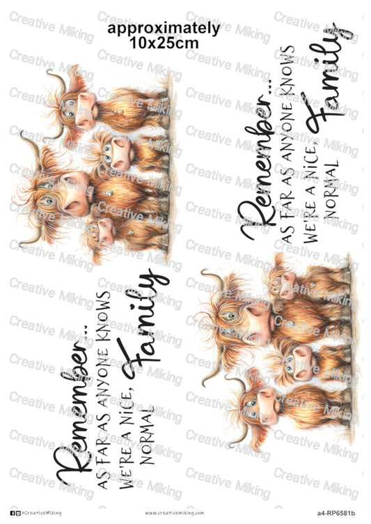 RP6581b - Highland Cows Family - "Remember...as far as anyone knows..."