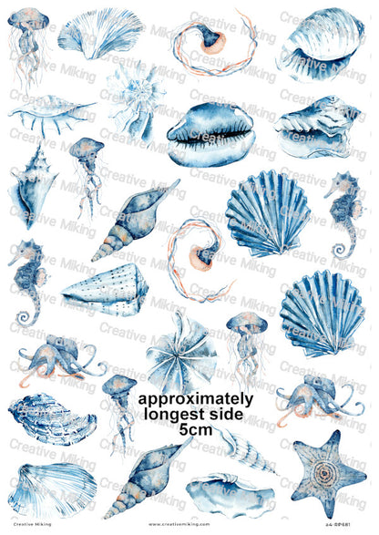 Seashells And Sea Creatures Decoupage Rice Paper | RP681