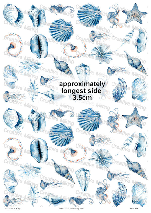 Seashells And Sea Creatures Decoupage Rice Paper | RP681