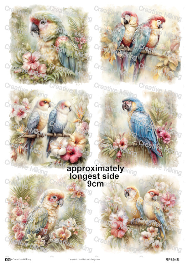 Parrots Among Tropical Flowers Decoupage Paper | RP6945