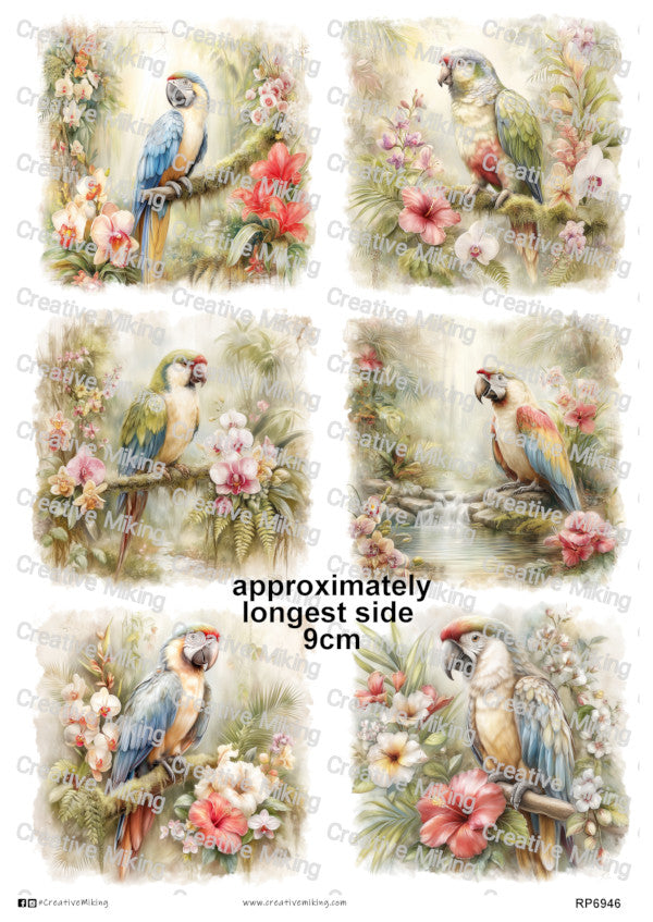 Parrots Among Tropical Flowers Decoupage Paper | RP6946