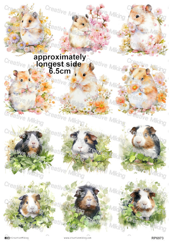 RP6973 - Hamster & Guinea Pig