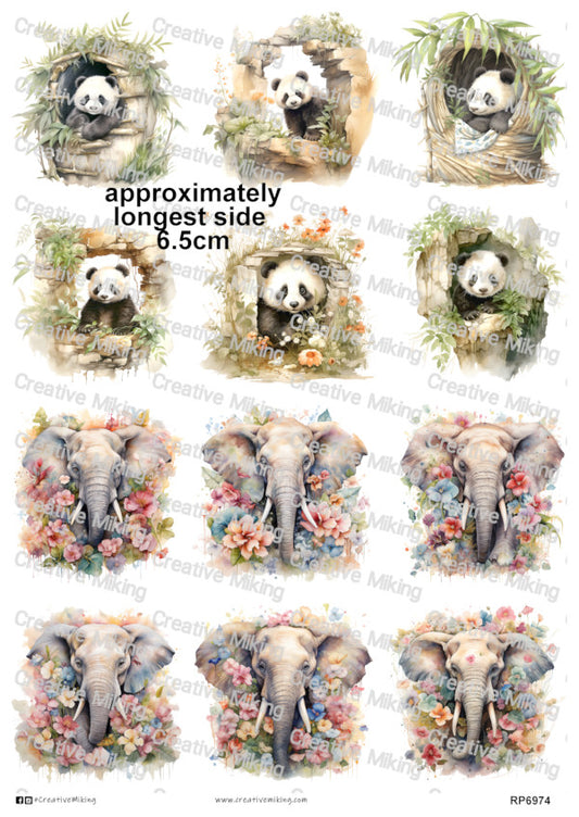 RP6974 - Panda & Elephant