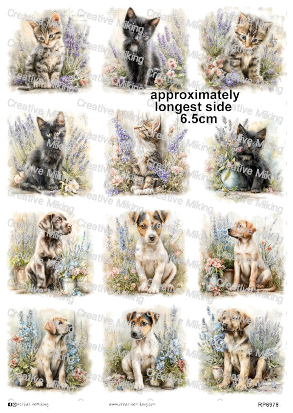 RP6976 - Cats & Dogs