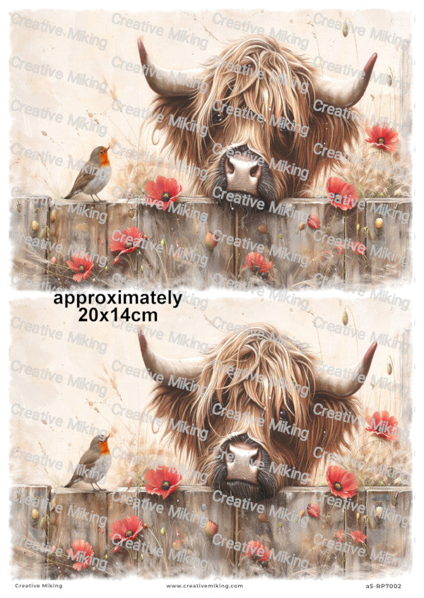 Highland Cow Peeking Over Wooden Fence with Robin Among Poppies Decoupage Paper | RP7002