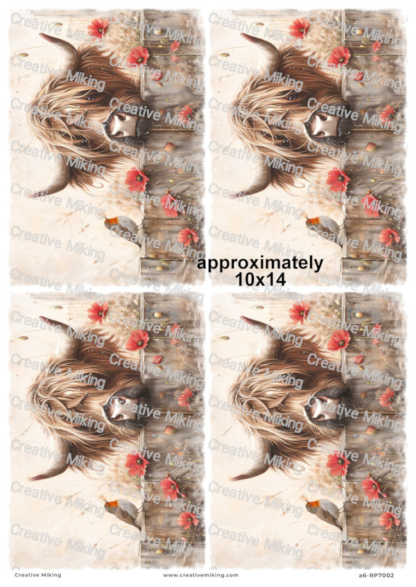 Highland Cow Peeking Over Wooden Fence with Robin Among Poppies Decoupage Paper | RP7002