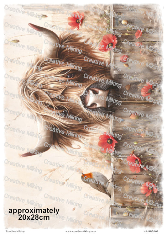 Highland Cow Peeking Over Wooden Fence with Robin Among Poppies Decoupage Paper | RP7002