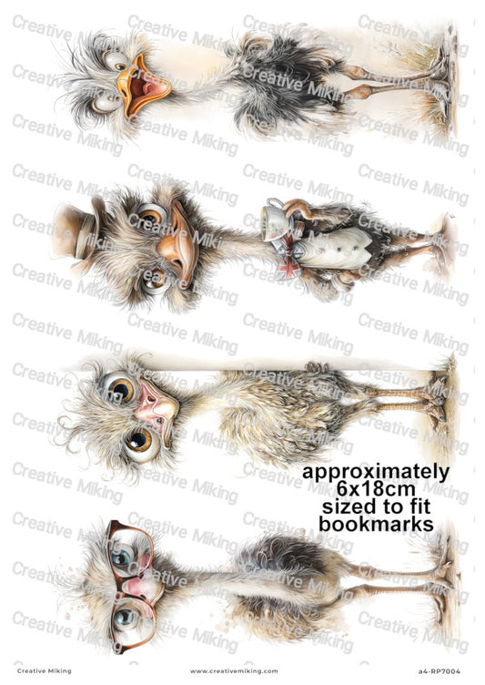 Ostrich Cartoon Character Decoupage Paper | RP7004