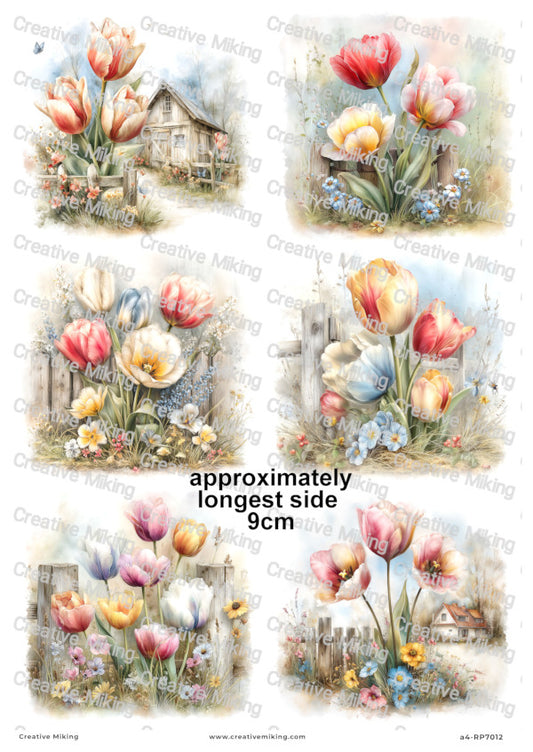 Tulip Flowers Decoupage Paper | RP7012