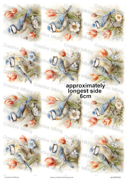 Blue Tit Bird With Spring Flowers Decoupage Rice Paper | RP7015