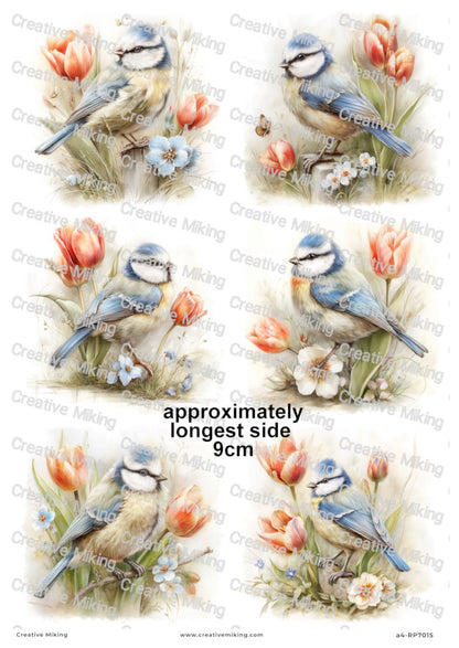 Blue Tit Bird With Spring Flowers Decoupage Rice Paper | RP7015