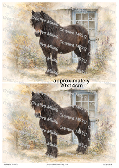 Dartmoor Pony Decoupage Paper | RP7016