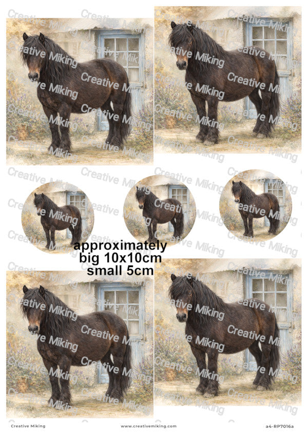 Dartmoor Pony Decoupage Paper | RP7016a