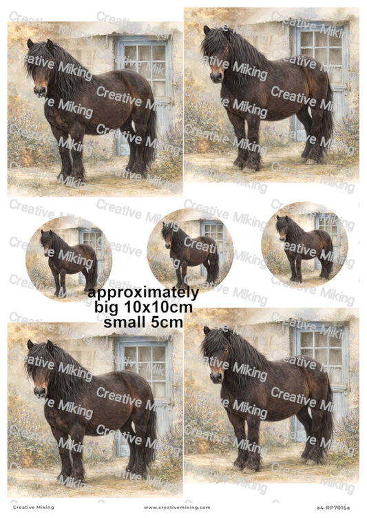 Dartmoor Pony Decoupage Paper | RP7016a