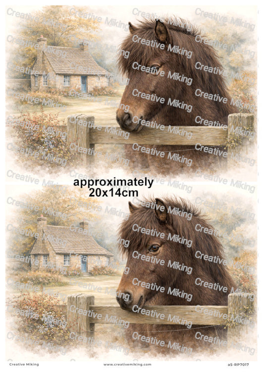 Dartmoor Pony Decoupage Paper | RP7017