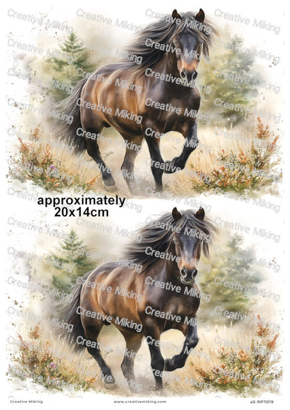 Dartmoor Pony Decoupage Paper | RP7019