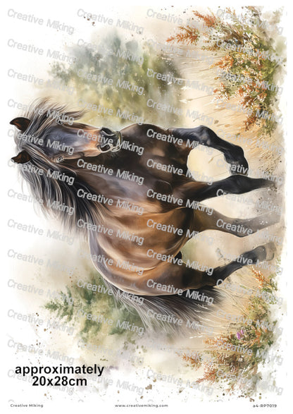 Dartmoor Pony Decoupage Paper | RP7019