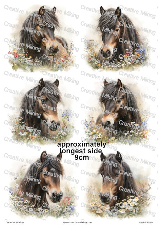 Dartmoor Pony Decoupage Paper | RP7020
