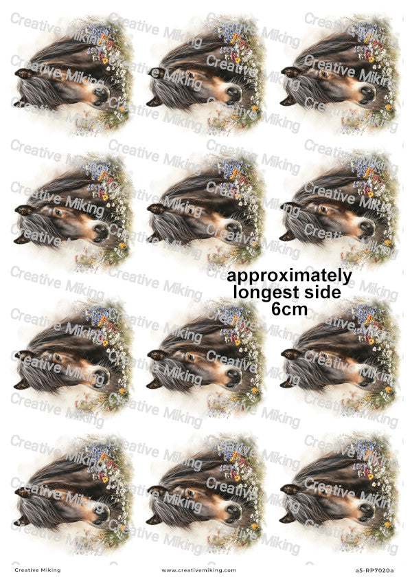 Dartmoor Pony Decoupage Rice Paper | RP7020a