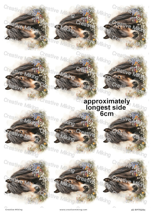 Dartmoor Pony Decoupage Rice Paper | RP7020a