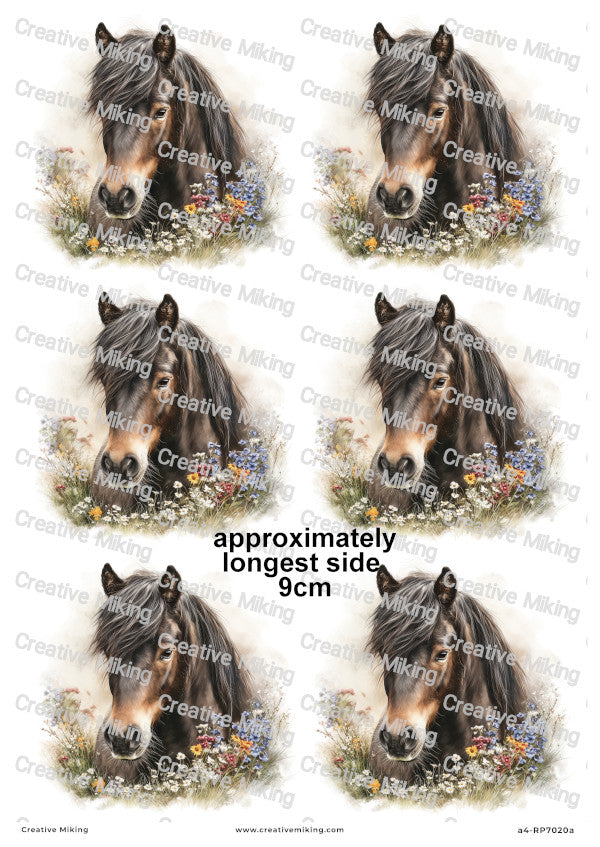 Dartmoor Pony Decoupage Rice Paper | RP7020a