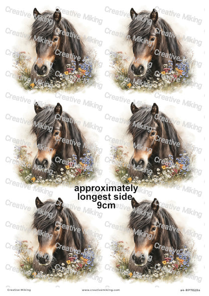 Dartmoor Pony Decoupage Rice Paper | RP7020a