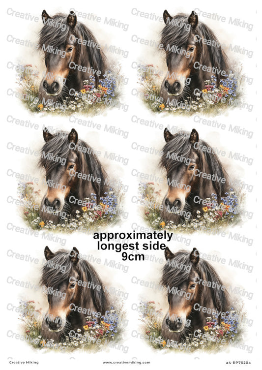 Dartmoor Pony Decoupage Rice Paper | RP7020a
